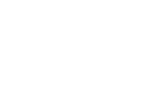 logo Coni Bianco